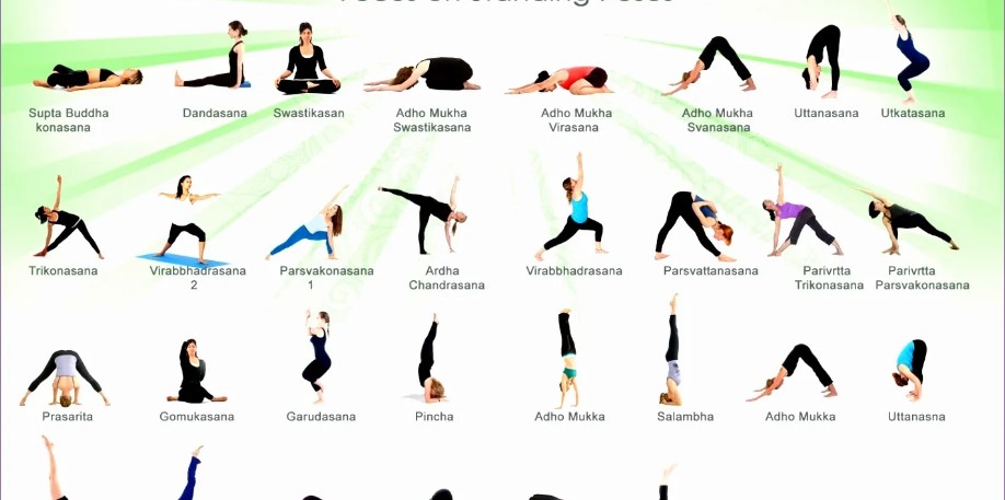 Yoga for Beginners: Easy Poses to Improve Flexibility and Reduce Stress